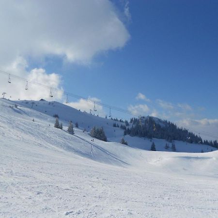 Hedonic Apartamento Kopaonik Exterior foto