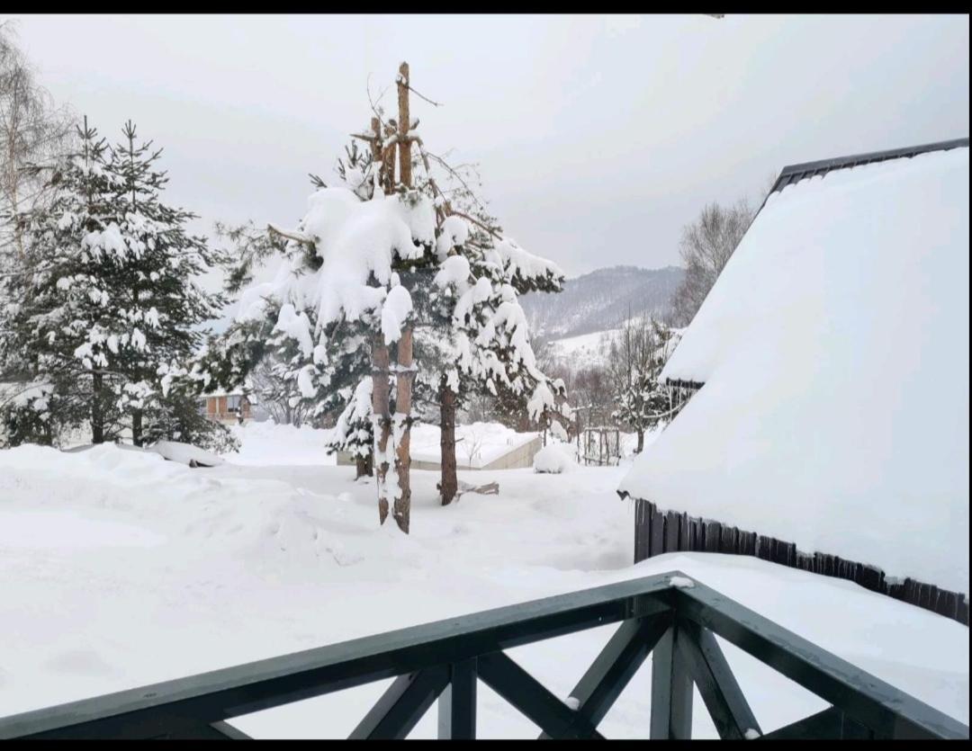 Hedonic Apartamento Kopaonik Exterior foto